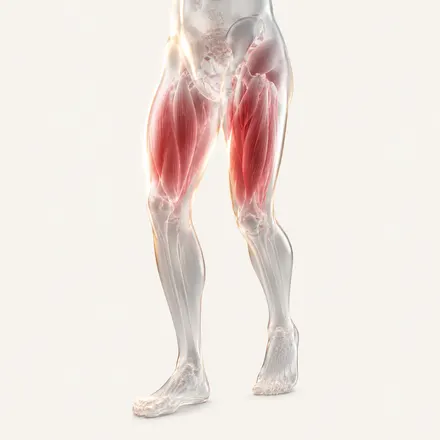 Muscle Weakness & Mobility Limitations - condition treatment at AvaTrita